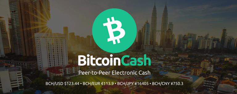 Bitcoin Cash (BCH banner with price quotes by currency underneath the logo.