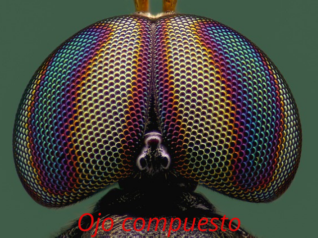 1_20210111_140202_0000.png