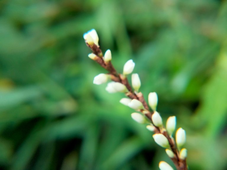 IMG20210118180336.jpg