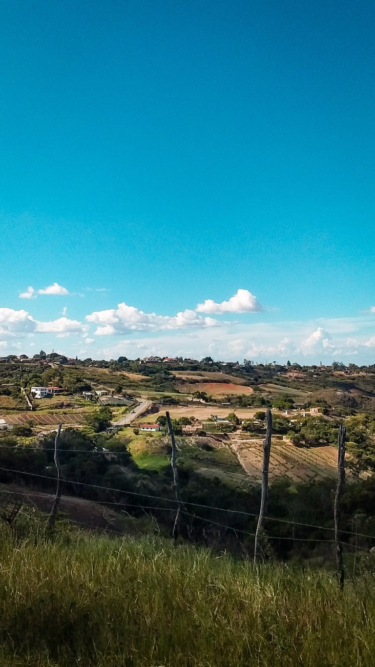 20190825_154120.jpg