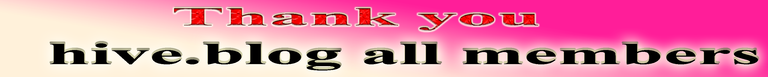 all Member.png