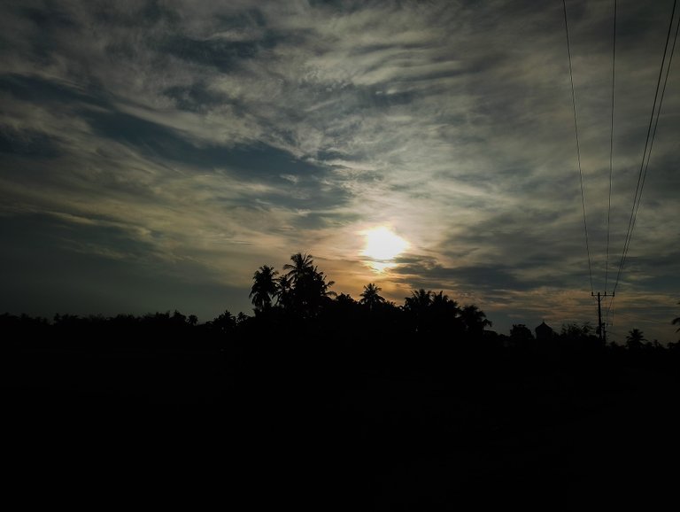 PSX_20250805_102832.jpg