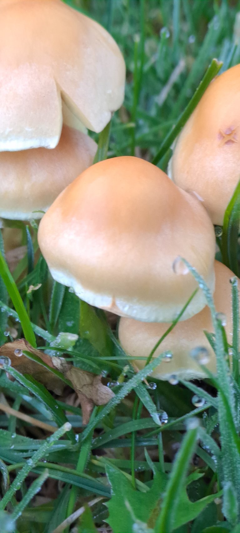 20231027_095319.jpg