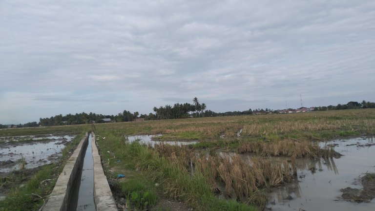 20250109_092359.jpg