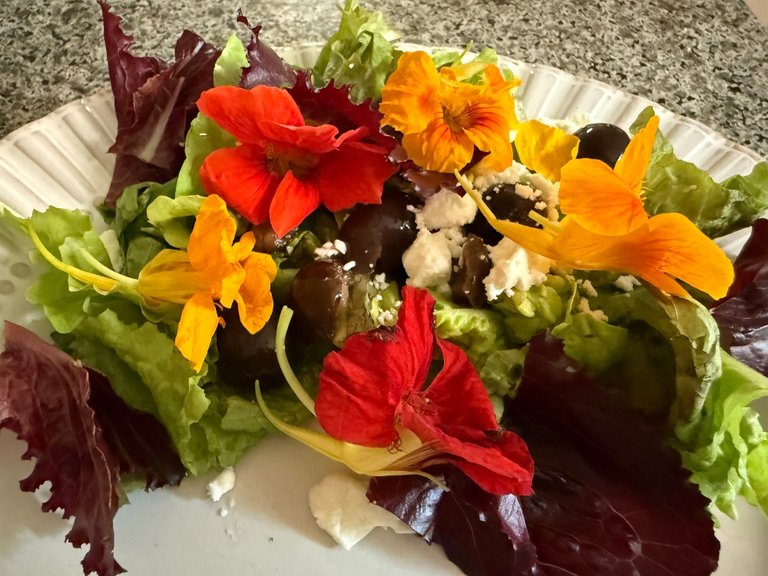 silverbloggers-hivegarden-salad.jpg
