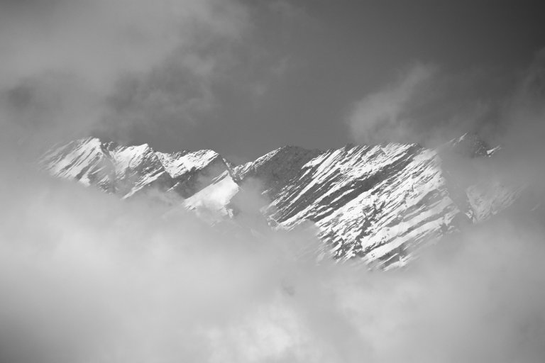 IMG_4116.JPG
