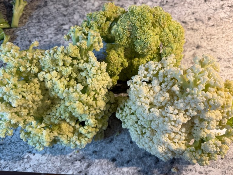 foodiesbeehive-cauliflower-1.jpg