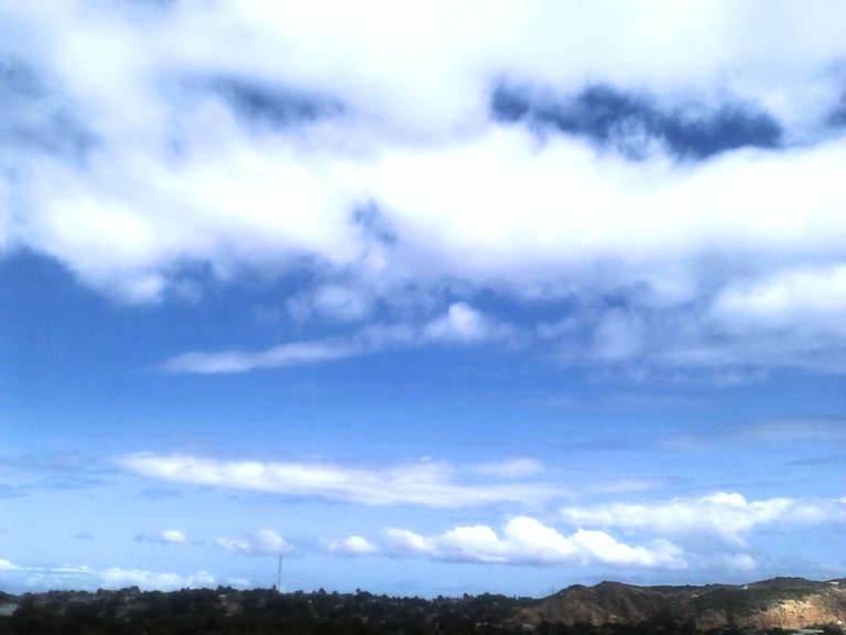 IMG_20210115_114338.jpg