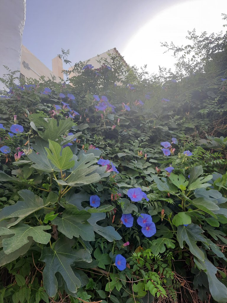 20220618_100620.jpg