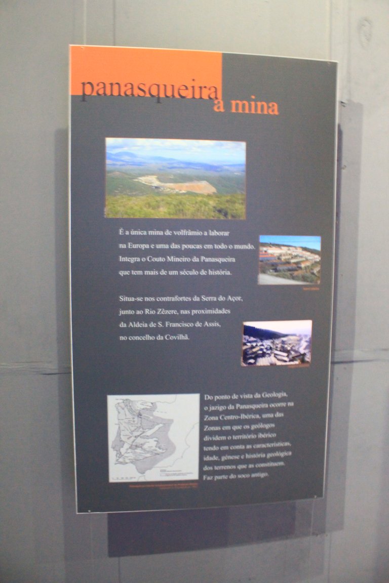 IMG_3974.JPG