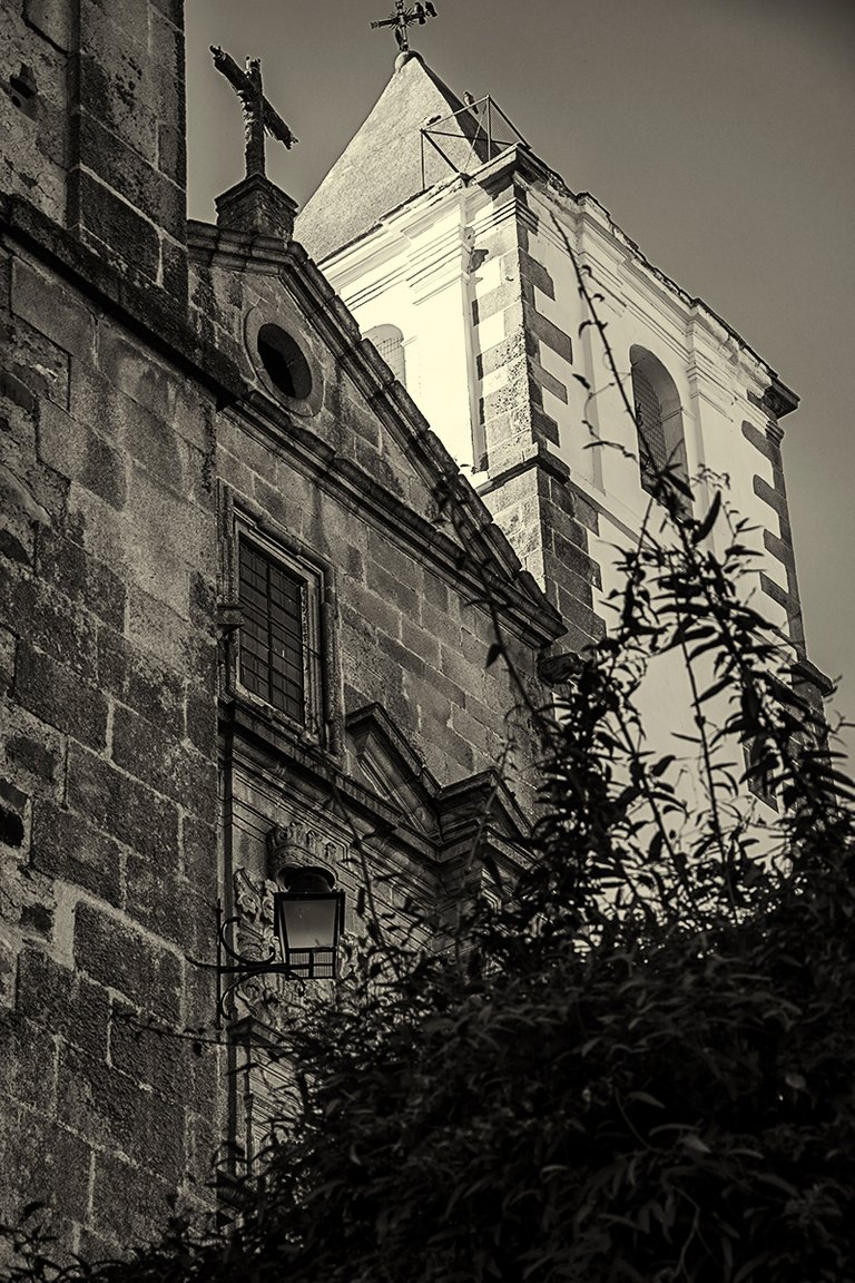 DSC_9171.jpg