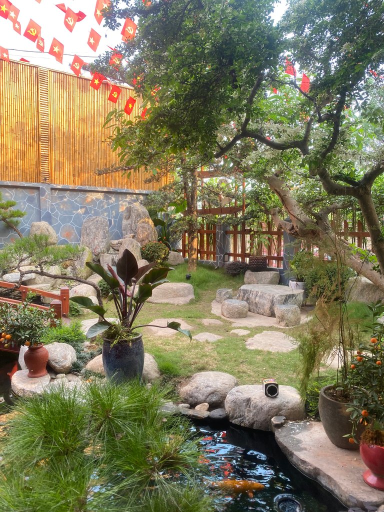 IMG_5326.jpeg