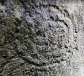 cropped_file (41).jpg