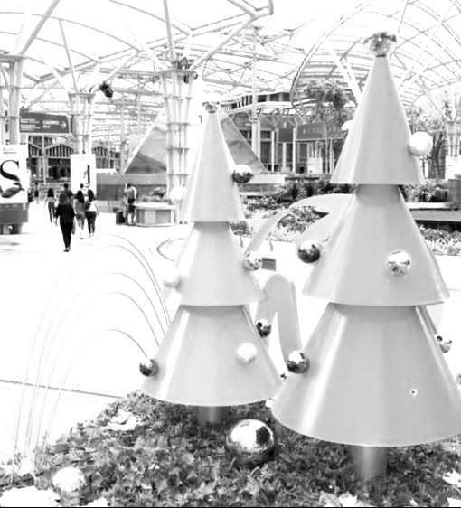 20201124_200428.jpg