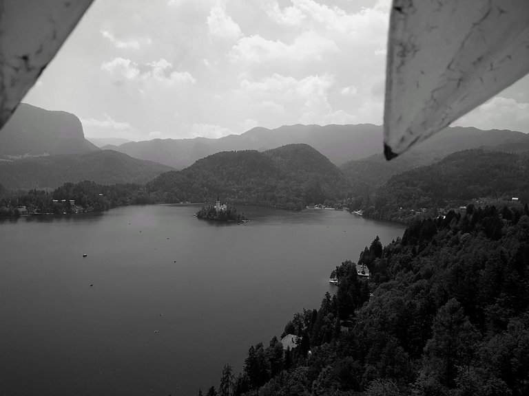 20190706_135126_bw.jpg