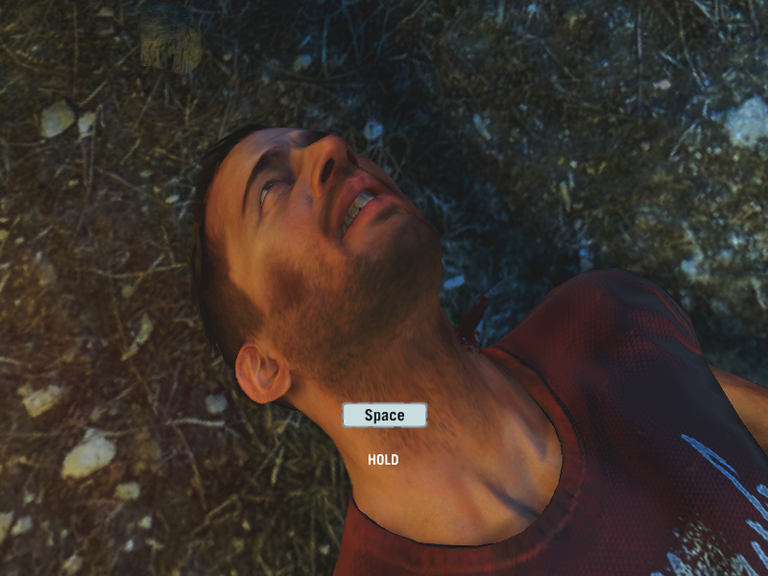 Far Cry® 3 12_17_2023 10_55_57 AM.png