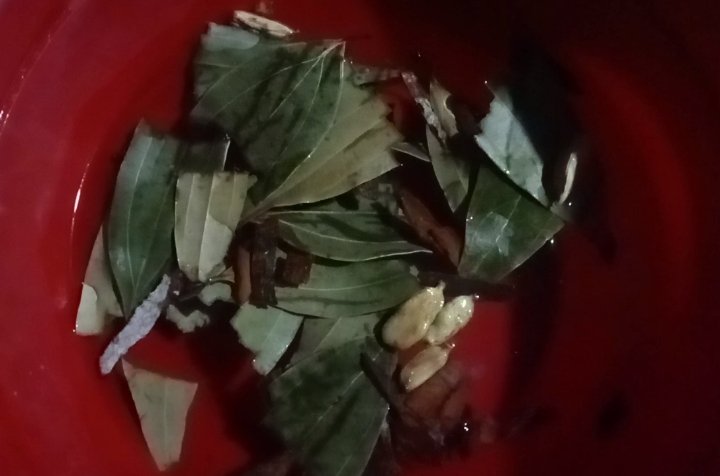 Gallery_1750839156207.jpg