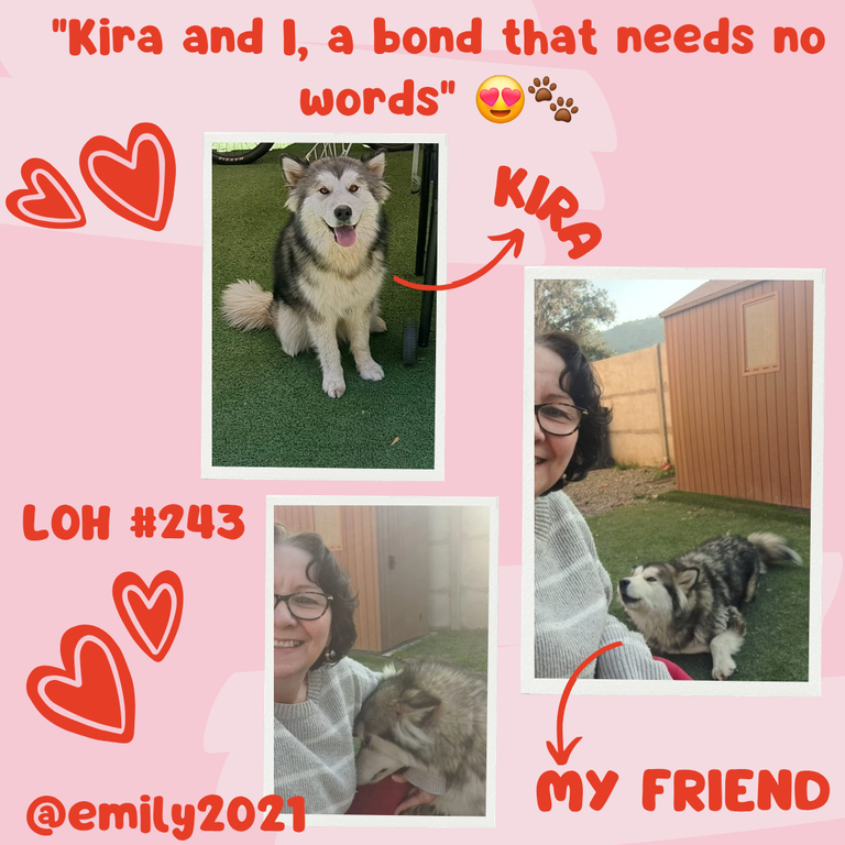 Kira_20250628_130148_0000.png