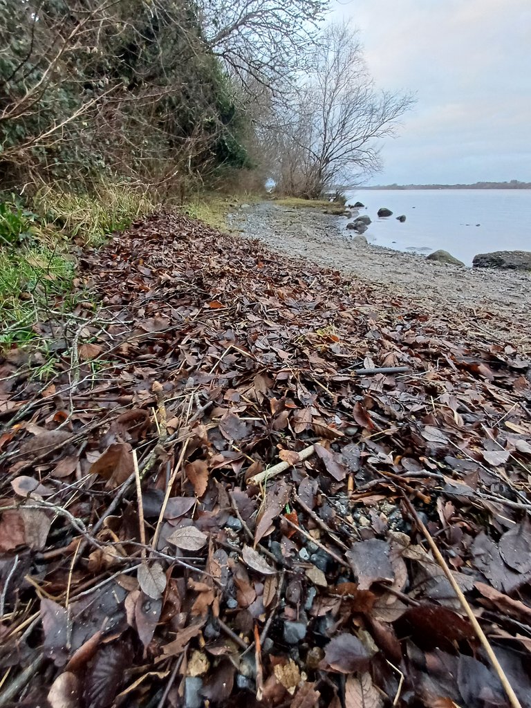 20241229_160726.jpg