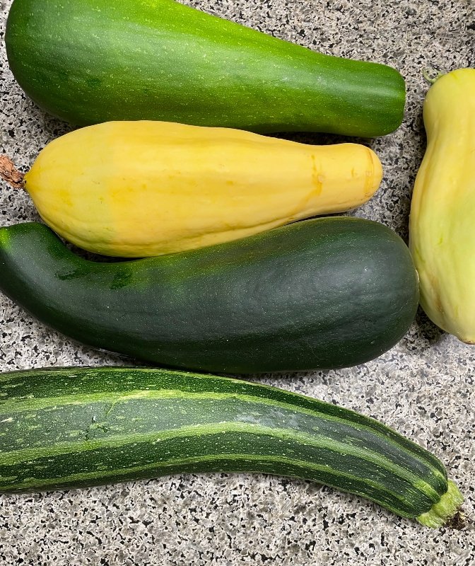 hivegarden-gardenjournal-veggies-14.jpg