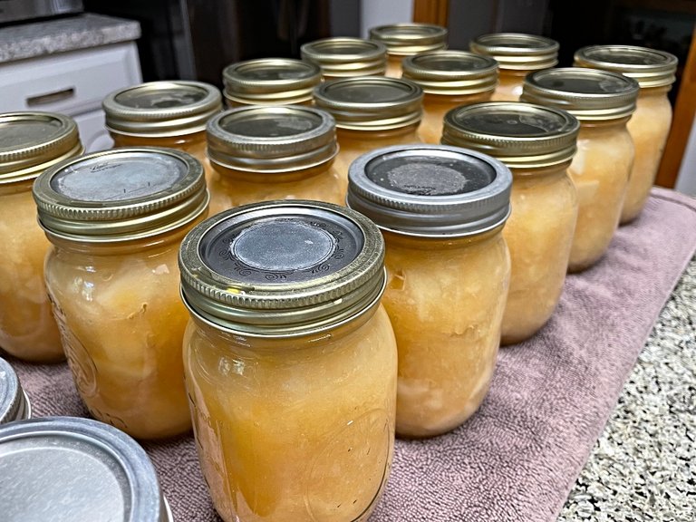 applesauce-preserving-3.jpg