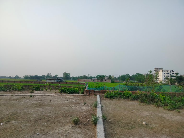 IMG20250416172757.jpg