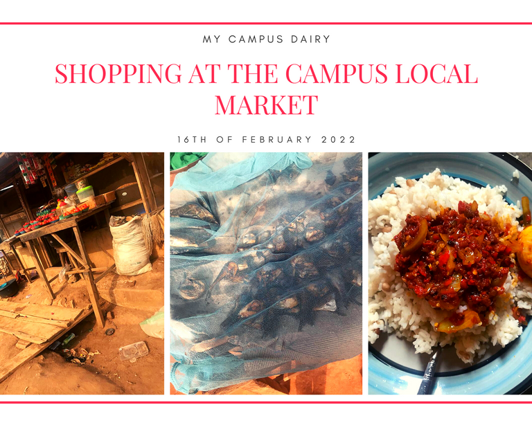 My Campus Dairy - Shopping At The Campus Local Market - Prepared White Rice And Egg