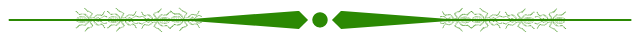 separador.png