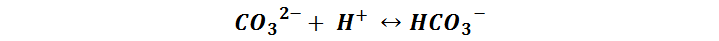 imagen.png