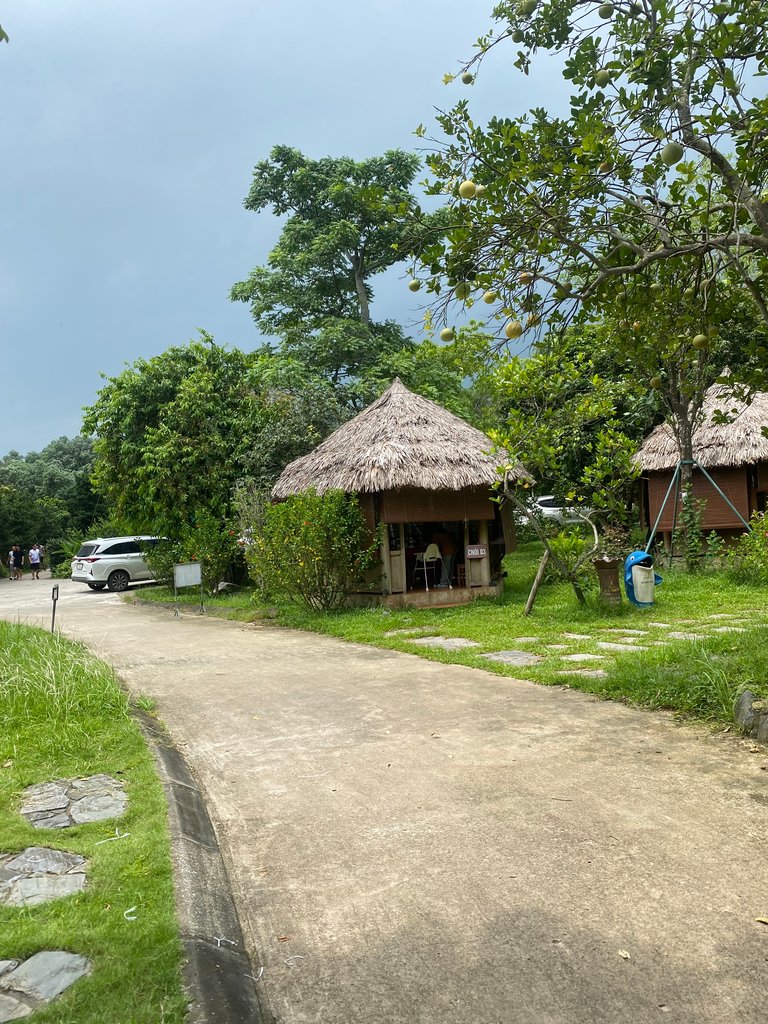 IMG_8415.jpeg