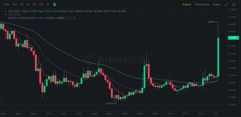 HIVE Made a Big Leap Despite the Bear Market. What does it mean?