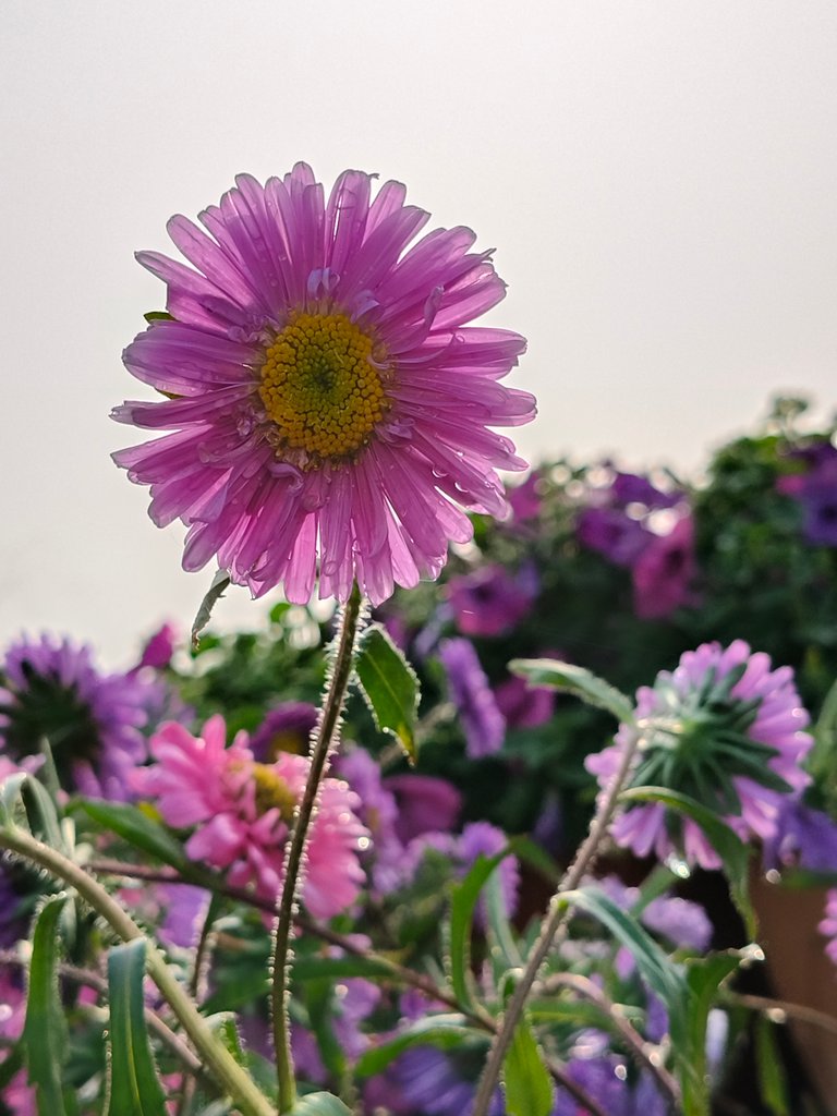 IMG20250122152042.jpg