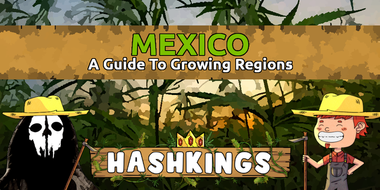 HashKings Region Guide: Mexico