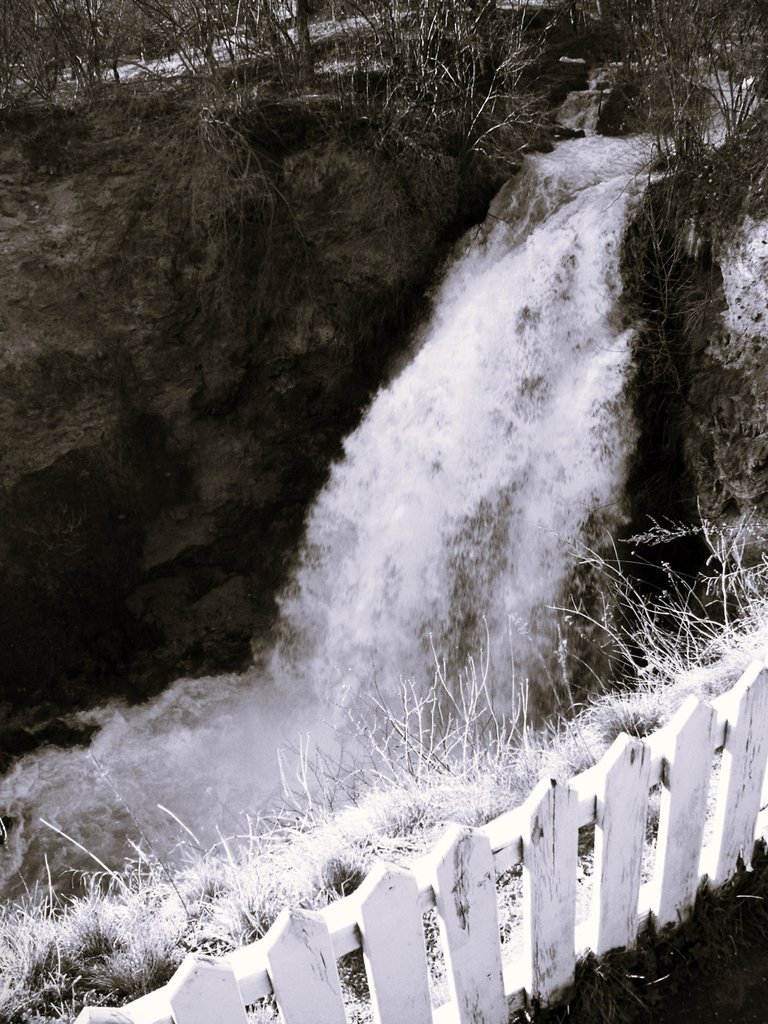 PICT0030_bw.jpg