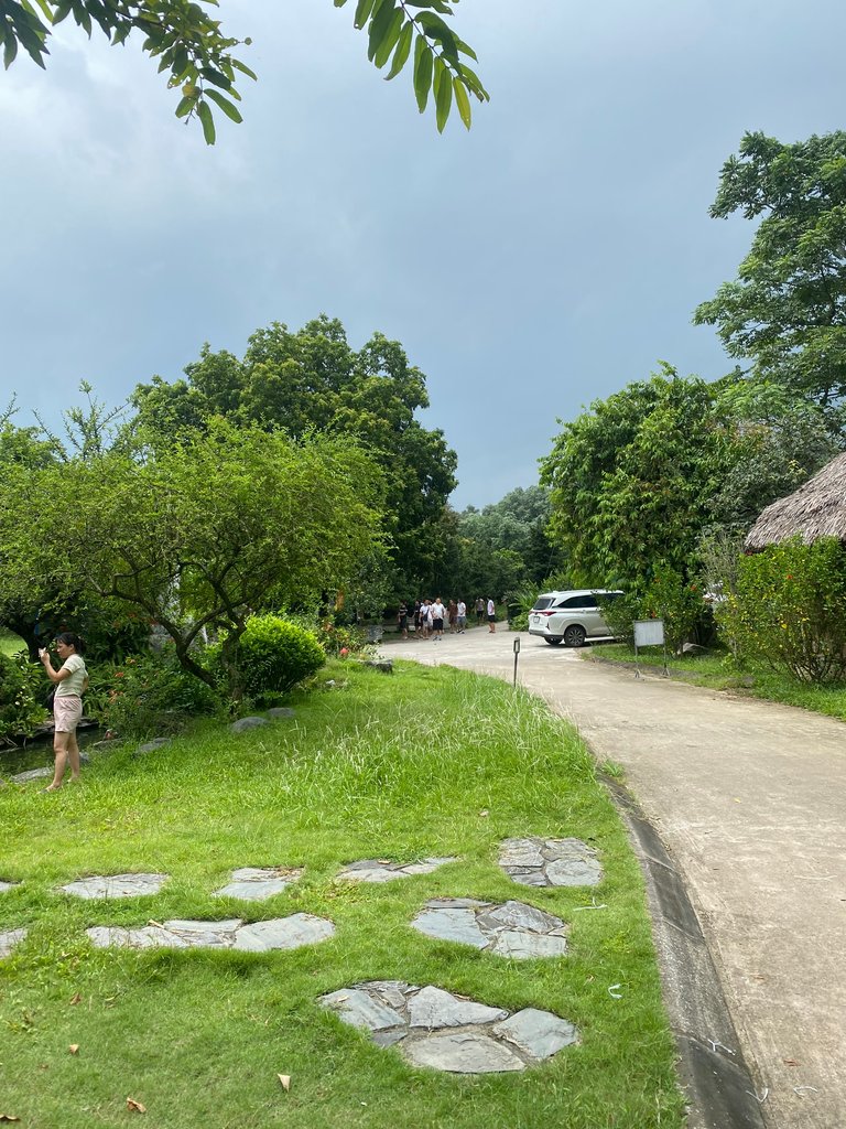 IMG_8417.jpeg