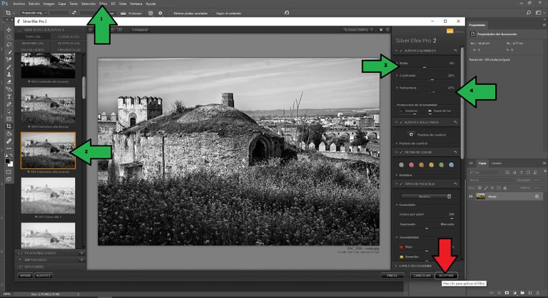 Silver Efex Pro 2.jpg