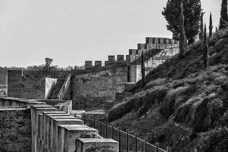 DSC_3721 - copia.jpg