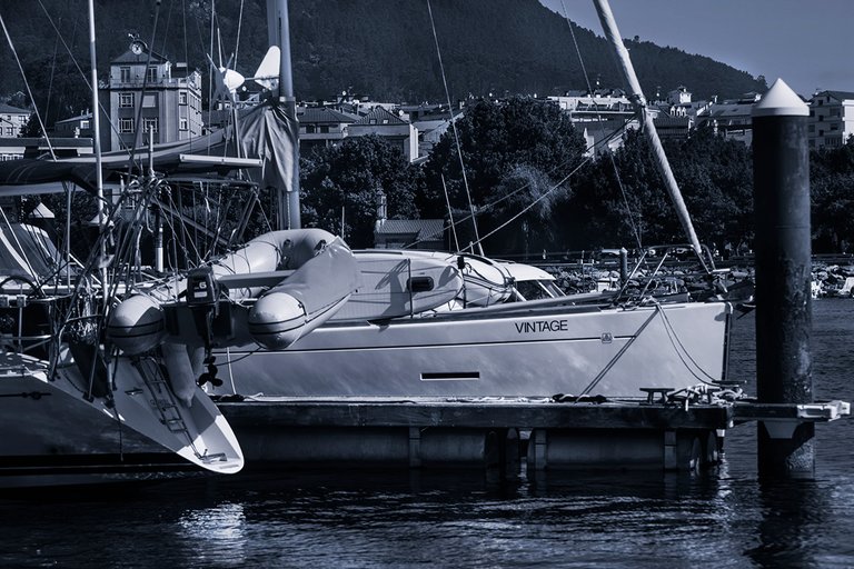DSC_4934.jpg