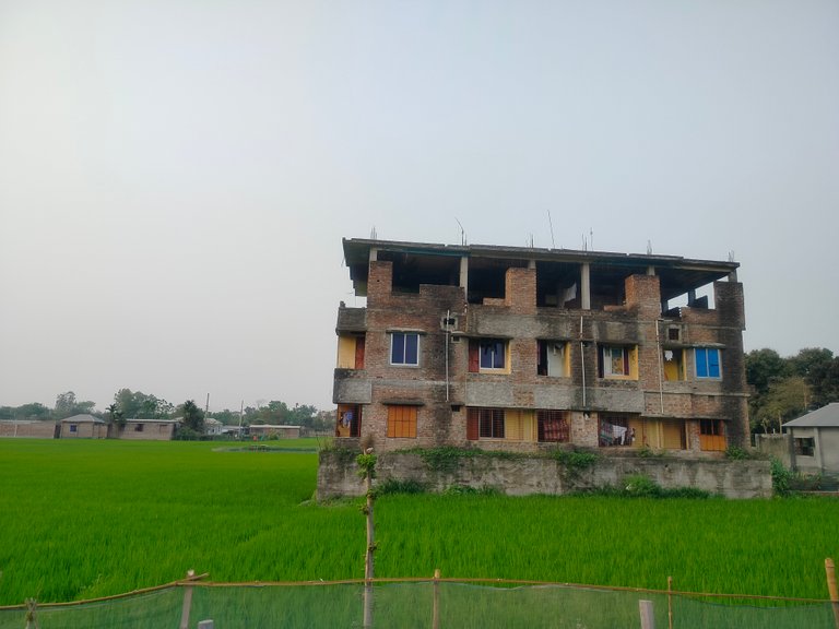 IMG20250408172001.jpg