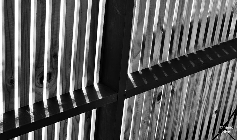 shadows-lights-011-bw.jpg