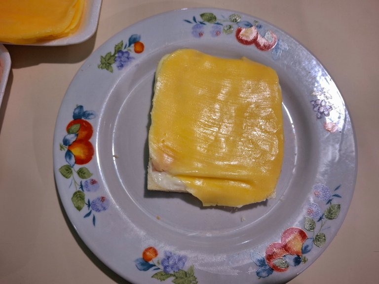 20250427_192919.jpg