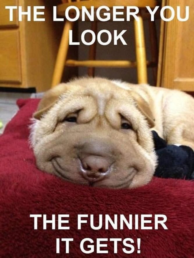 It Gets Funnier