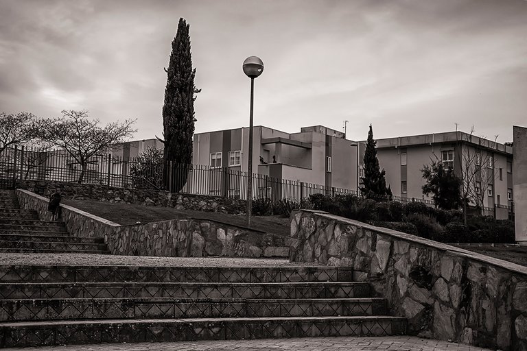 DSC_2031.jpg