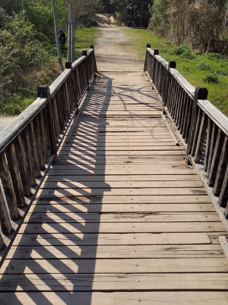 wooden bridge shadow 2.jpg