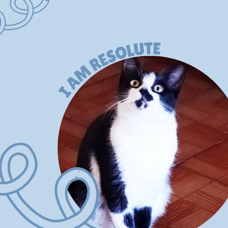 Post para Instagram Pet Shop Simple Celeste (5).png