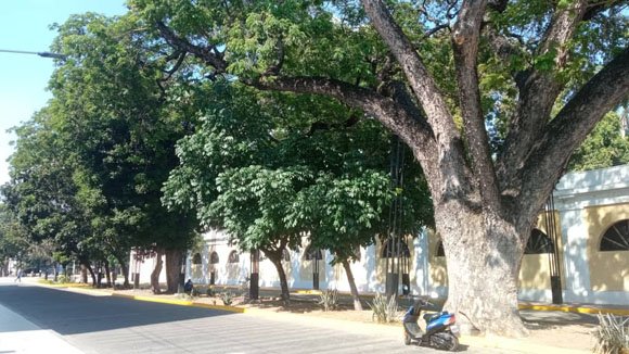 imagen1-580.jpg