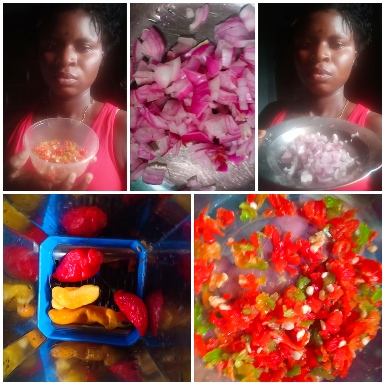 Collage 2025-05-27 14-50-04.png