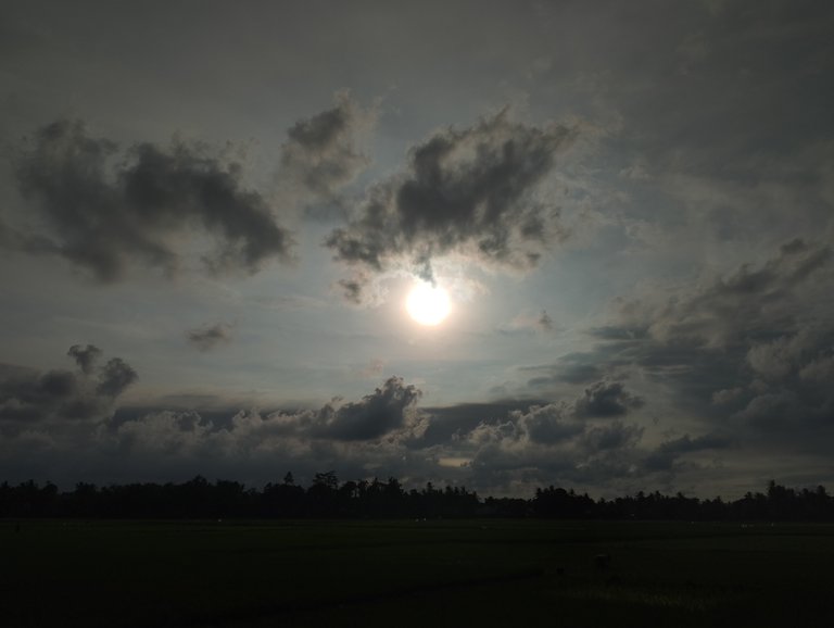 IMG_20250809_172854.jpg