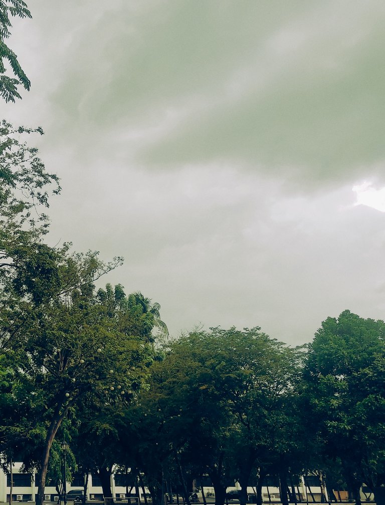 Something that we hated when we're out for walking exercise. The threat of a ...