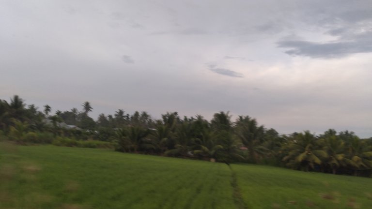 20240310_065648.jpg
